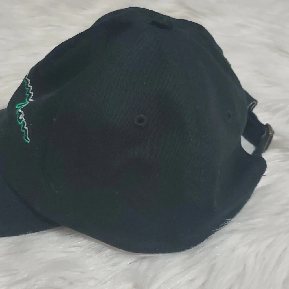 Champion hat - Picture 4 of 7
